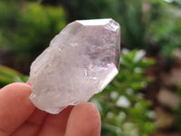 Natural Jacaranda Amethyst Single Quartz Crystals x 24 from Mumbwa, Zambia