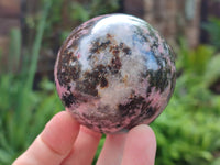 Polished Rhodonite Spheres x 4 From Ambindavato, Madagascar