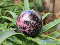 Polished Rhodonite Spheres x 4 From Ambindavato, Madagascar