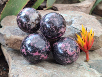 Polished Rhodonite Spheres x 4 From Ambindavato, Madagascar