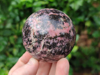 Polished Rhodonite Spheres x 4 From Ambindavato, Madagascar