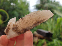 Natural Drusy Quartz Coated Calcite Pseudomorph Specimens x 12 From Alberts Mountain, Lesotho