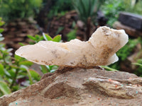 Natural Drusy Quartz Coated Calcite Pseudomorph Specimens x 12 From Alberts Mountain, Lesotho