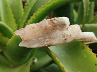 Natural Drusy Quartz Coated Calcite Pseudomorph Specimens x 12 From Alberts Mountain, Lesotho