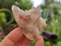 Natural Red Hematoid Quartz Crystals x 35 From Karoi, Zimbabwe