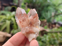 Natural Red Hematoid Quartz Crystals x 35 From Karoi, Zimbabwe