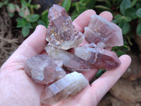 Natural Red Hematoid Quartz Crystals x 35 From Karoi, Zimbabwe