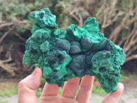 Natural Silky Malachite Specimens x 2 From Kasompe, Congo