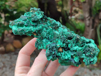 Natural Silky Malachite Specimens x 2 From Kasompe, Congo