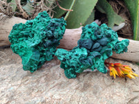 Natural Silky Malachite Specimens x 2 From Kasompe, Congo