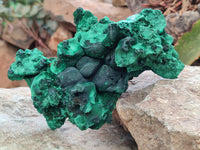 Natural Silky Malachite Specimens x 2 From Kasompe, Congo