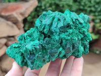 Natural Silky Malachite Specimens x 2 From Kasompe, Congo