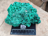 Natural Silky Malachite Specimens x 2 From Kasompe, Congo