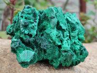 Natural Silky Malachite Specimens x 2 From Kasompe, Congo