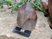 Polished Smokey Quartz Crystal x 1 From Madagascar