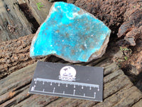 Natural Drusy Coated Chrysocolla Specimens x 6 From Congo