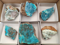 Natural Drusy Coated Chrysocolla Specimens x 6 From Congo