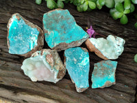 Natural Drusy Coated Chrysocolla Specimens x 6 From Congo