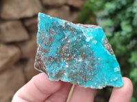 Natural Drusy Coated Chrysocolla Specimens x 6 From Congo