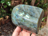 Polished Labradorite Standing Free Form x 1 From Tulear, Madagascar