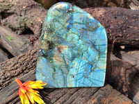 Polished Labradorite Standing Free Form x 1 From Tulear, Madagascar