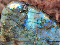 Polished Labradorite Standing Free Form x 1 From Tulear, Madagascar