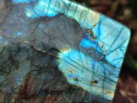 Polished Labradorite Standing Free Form x 1 From Tulear, Madagascar