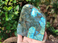 Polished Labradorite Standing Free Form x 1 From Tulear, Madagascar