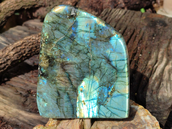 Polished Labradorite Standing Free Form x 1 From Tulear, Madagascar