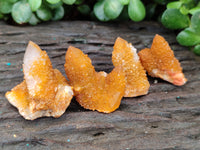 Natural Golden Solar Spirit Quartz Clusters x 35 From Boekenhouthoek, South Africa