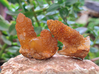 Natural Golden Solar Spirit Quartz Clusters x 35 From Boekenhouthoek, South Africa