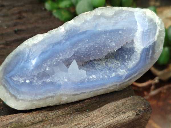 Polished Blue Lace Agate Geodes x 12 From Malawi