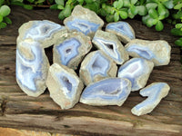 Polished Blue Lace Agate Geodes x 12 From Malawi