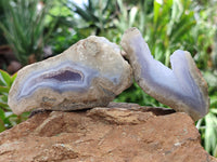 Polished Blue Lace Agate Geodes x 12 From Malawi