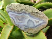 Polished Blue Lace Agate Geodes x 12 From Malawi