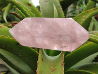 Polished Double Terminated Rose Quartz Points x 3 From Madagascar