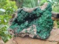 Natural Ball Malachite On Dolomite Matrix Specimen x 1 From Kambove, Congo