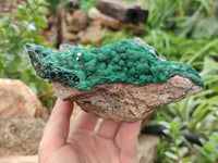 Natural Ball Malachite On Dolomite Matrix Specimen x 1 From Kambove, Congo