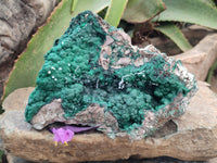 Natural Ball Malachite On Dolomite Matrix Specimen x 1 From Kambove, Congo