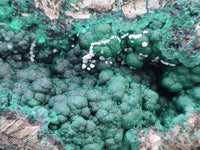 Natural Ball Malachite On Dolomite Matrix Specimen x 1 From Kambove, Congo