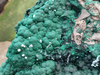 Natural Ball Malachite On Dolomite Matrix Specimen x 1 From Kambove, Congo