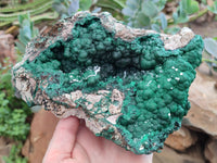 Natural Ball Malachite On Dolomite Matrix Specimen x 1 From Kambove, Congo