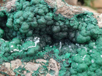 Natural Ball Malachite On Dolomite Matrix Specimen x 1 From Kambove, Congo