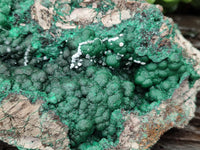 Natural Ball Malachite On Dolomite Matrix Specimen x 1 From Kambove, Congo