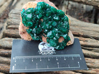 Natural Dioptase On Dolomite Specimens x 3 From Likasi, Congo