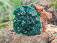 Natural Dioptase On Dolomite Specimens x 3 From Likasi, Congo