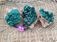 Natural Dioptase On Dolomite Specimens x 3 From Likasi, Congo