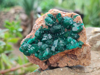 Natural Dioptase On Dolomite Specimens x 3 From Likasi, Congo