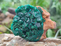 Natural Dioptase On Dolomite Specimens x 3 From Likasi, Congo