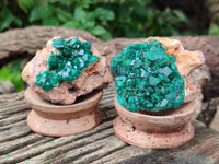 Natural Dioptase On Dolomite Specimens x 3 From Likasi, Congo